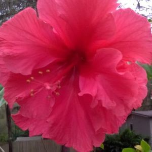 Meet your Posher, Diedre